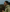 Person running outdoors with a blurred natural background